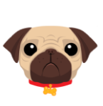 pug